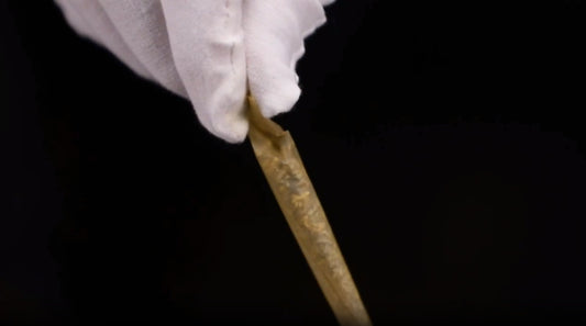 The Rising Popularity of Pre-Rolled Joints