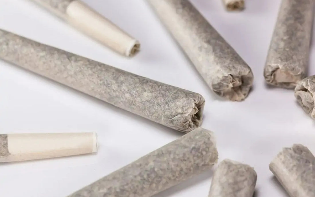 ✨ Introducing Pre-Rolled Cones: Convenience at Your Fingertips! ✨