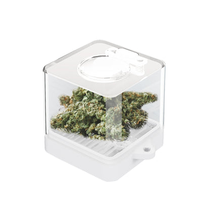 Maywaysky Buds Display Box For Dispensary Exhibition